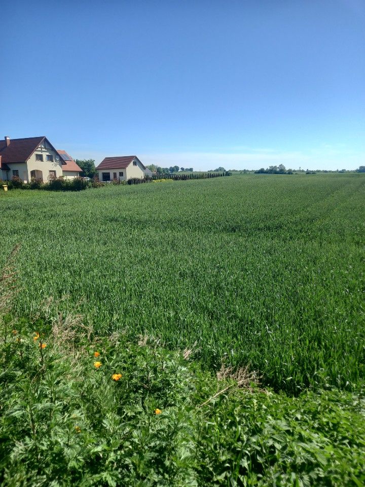 Działka budowlana Pysząca. Zdjęcie 1