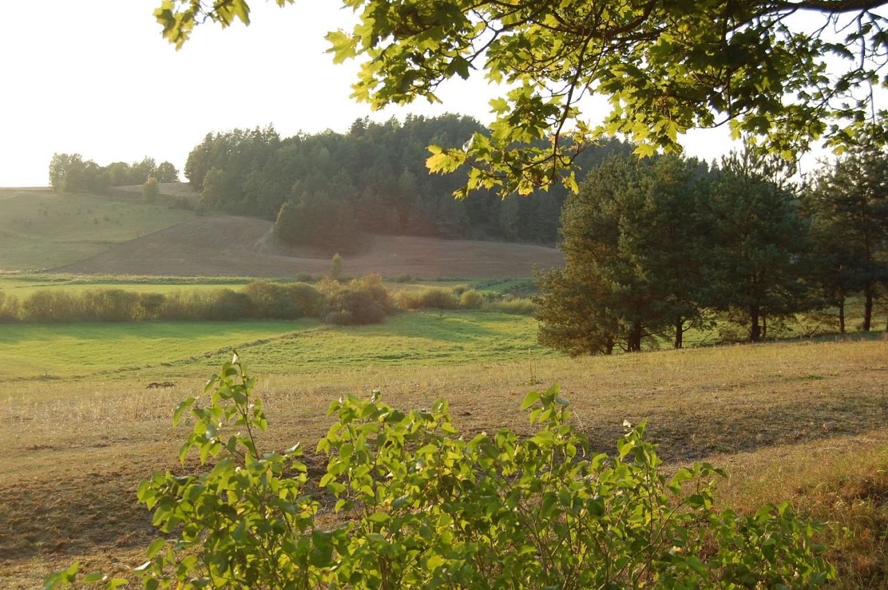 Działka budowlana Rychnowska Wola. Zdjęcie 9