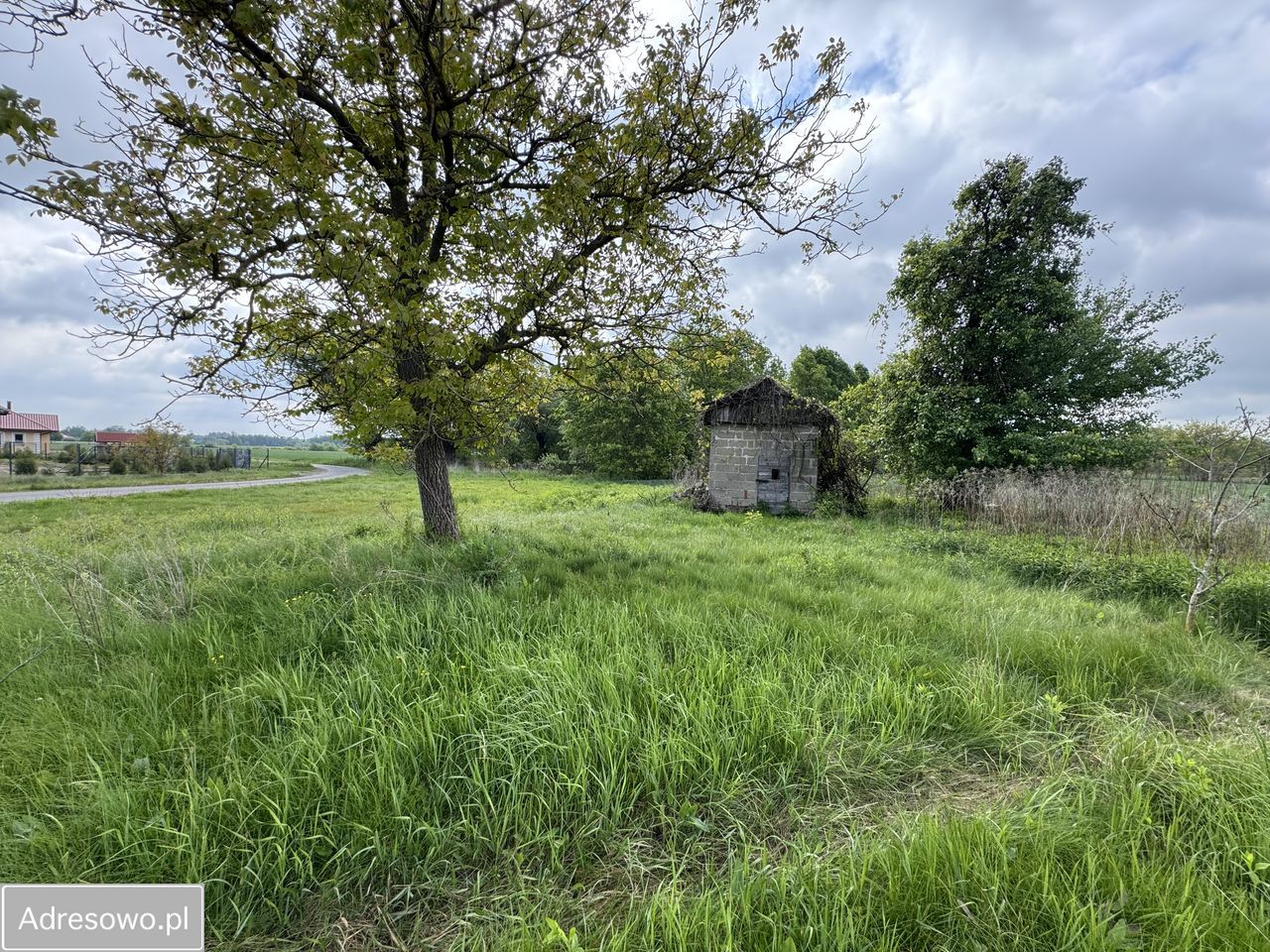 gospodarstwo, 3 pokoje Szafranów. Zdjęcie 3