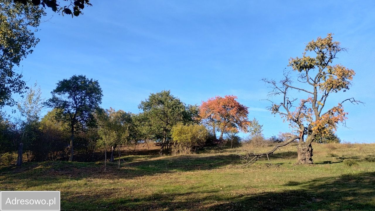 Działka budowlana Lutomierz. Zdjęcie 4