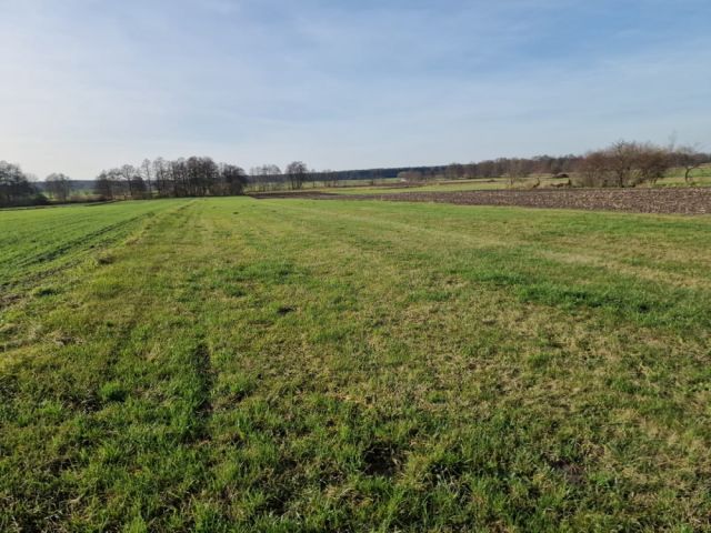 Działka rolna Biskupice. Zdjęcie 3