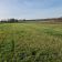 Działka rolna Biskupice. Zdjęcie 3