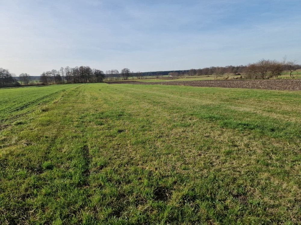 Działka rolna Biskupice. Zdjęcie 3