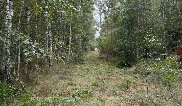 Działka budowlana Kiki