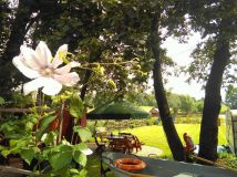 Działka rekreacyjna Nasy. Zdjęcie 2