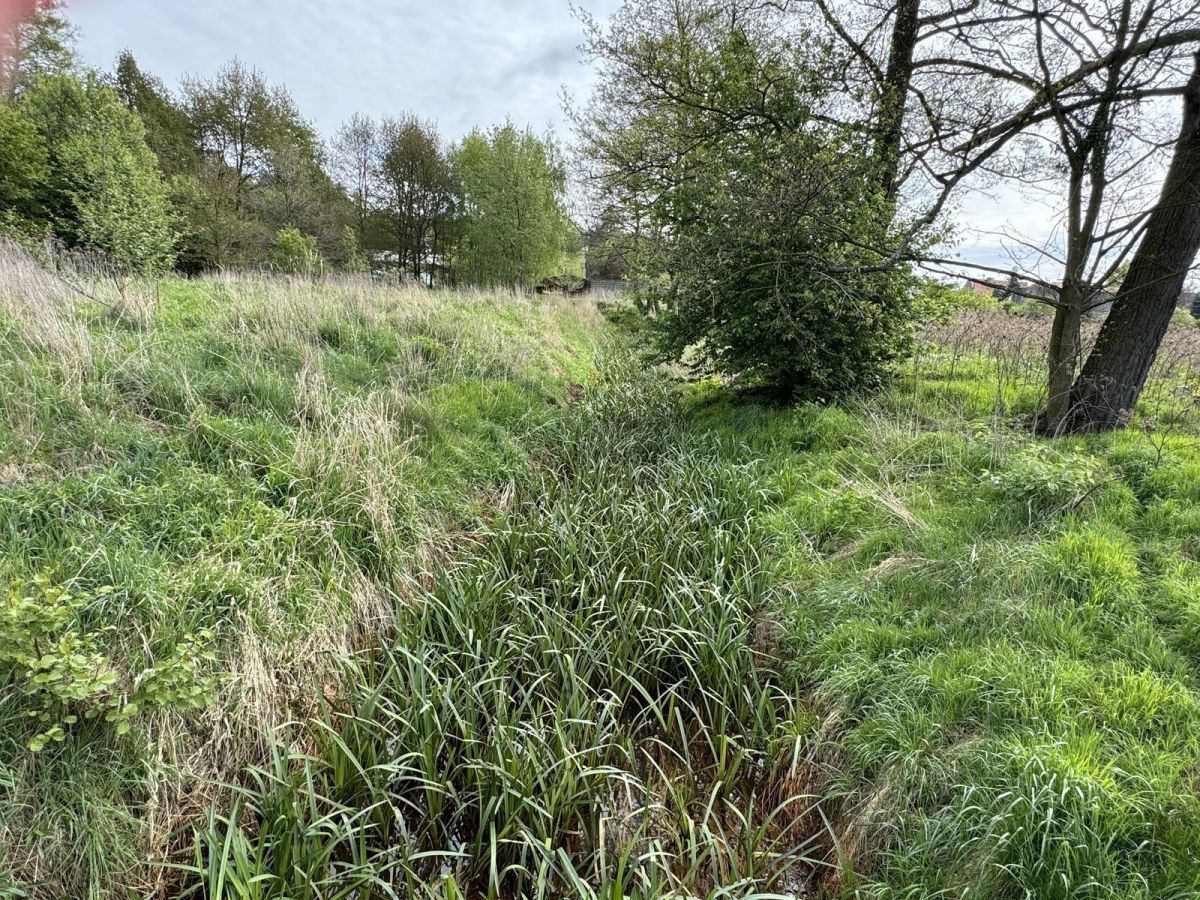 Działka budowlana Długołęka, ul. Adama Mickiewicza. Zdjęcie 19