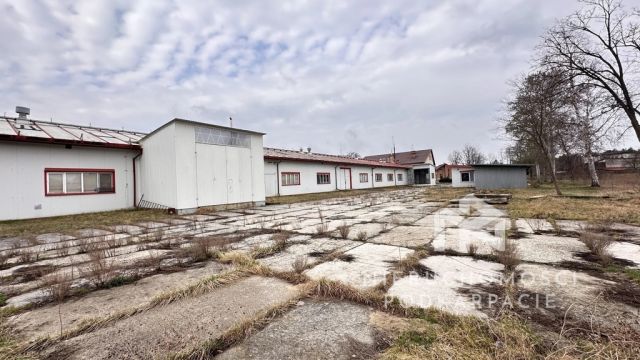 Hala/magazyn Nisko, ul. Nowa-Boczna. Zdjęcie 20