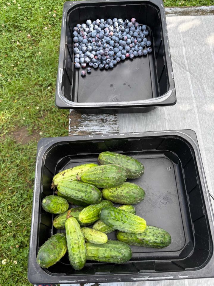 Działka rod Szczecin Skolwin. Zdjęcie 6