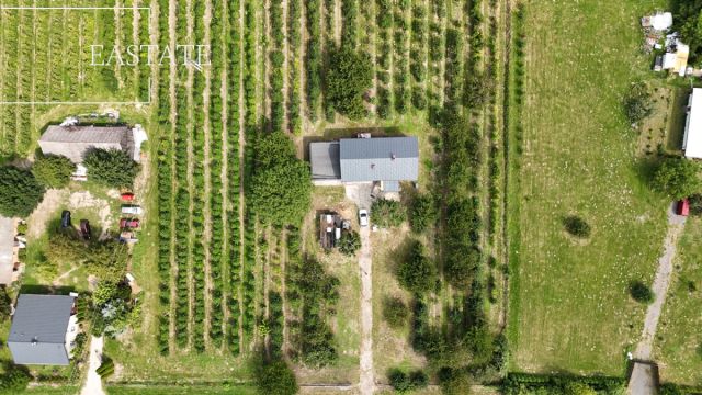 Działka rolna Świdno. Zdjęcie 7