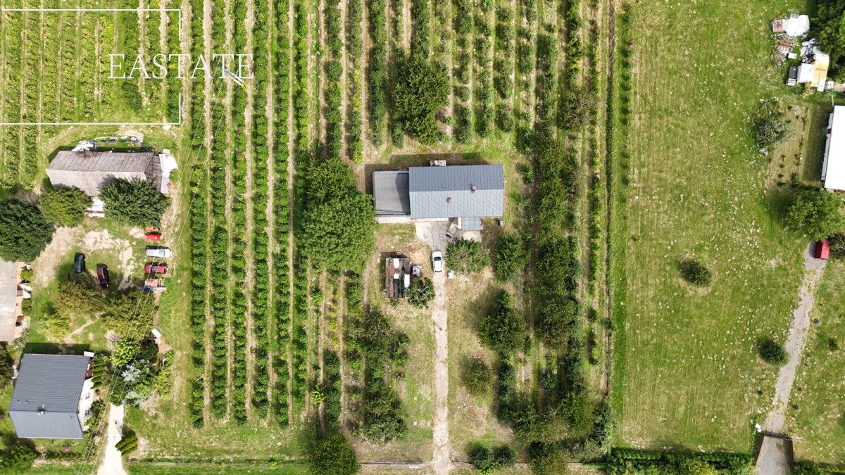 Działka rolna Świdno. Zdjęcie 7