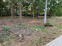 Działka budowlana Bydgoszcz, ul. Bielska. Zdjęcie 4