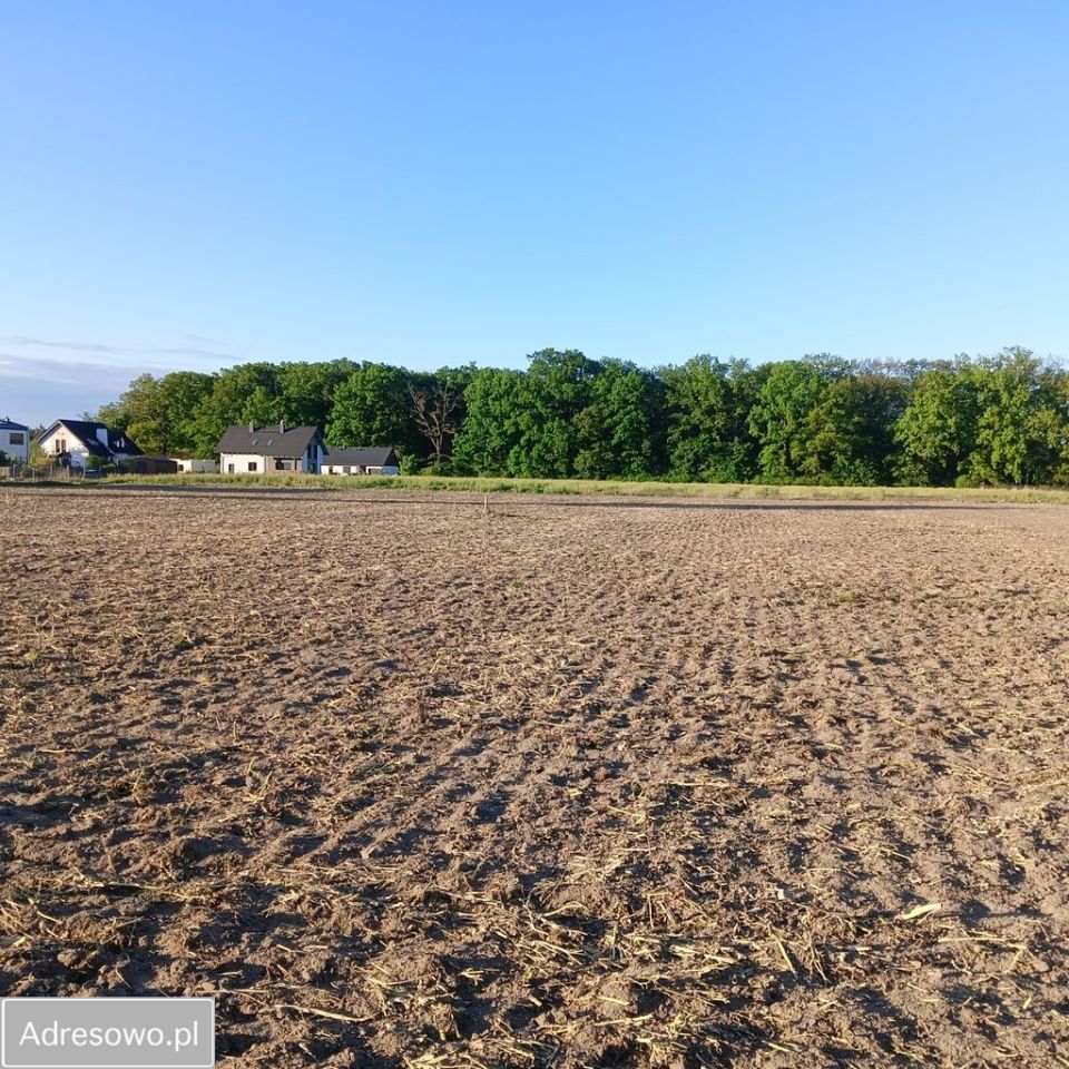 Działka budowlana Przecław, ul. Leśna. Zdjęcie 7