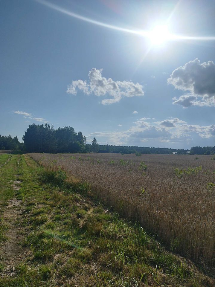 Działka budowlana Nowa Dębowa Wola. Zdjęcie 2