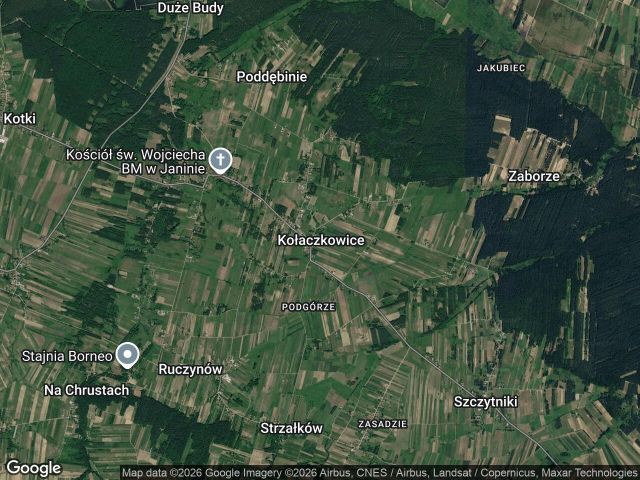 Działka leśna Kołaczkowice. Zdjęcie 1