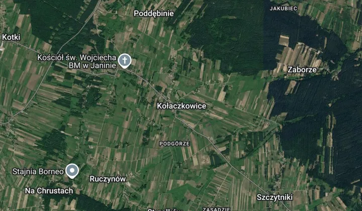 Działka leśna Kołaczkowice