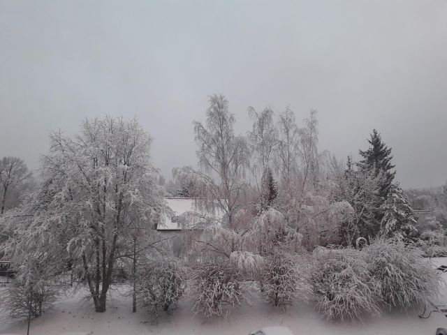 Mieszkanie 3-pokojowe Zielona Góra, ul. Szafrana / Podgórna. Zdjęcie 15