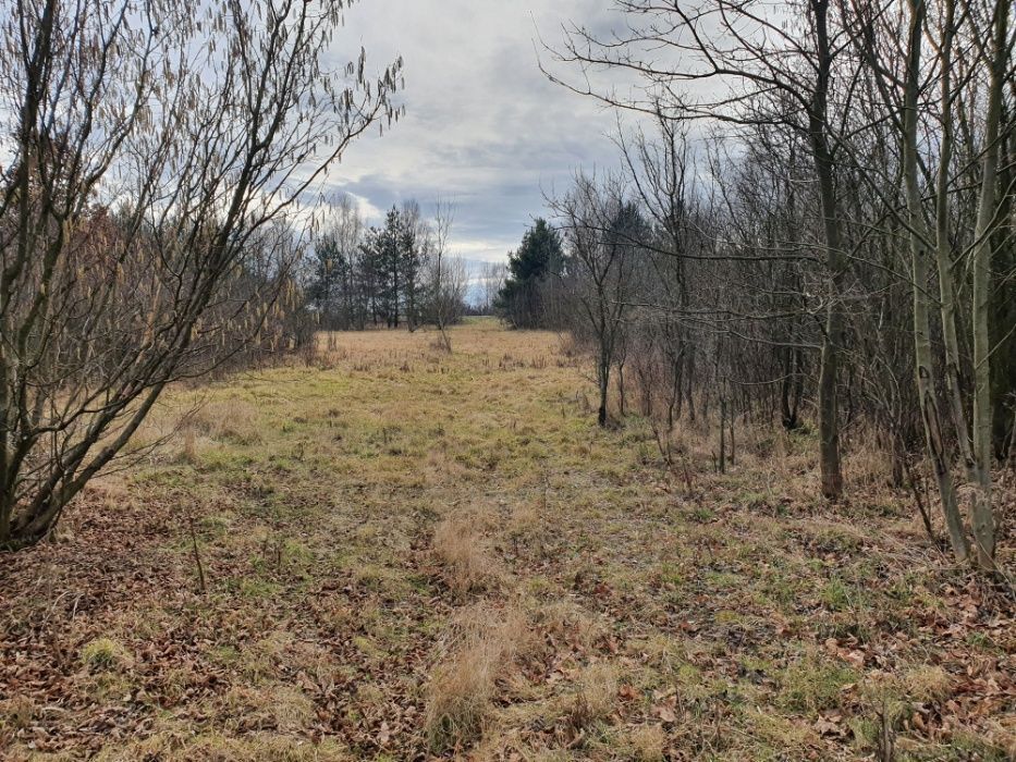 Działka rolna Lublinów. Zdjęcie 5