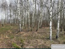 Działka rolno-budowlana Czartajew. Zdjęcie 2