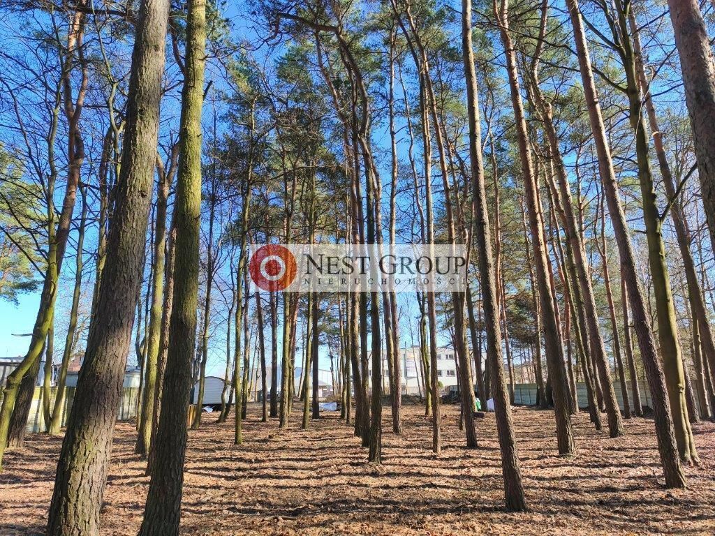 Działka budowlana Nowy Janków, ul. Wołomińska. Zdjęcie 17