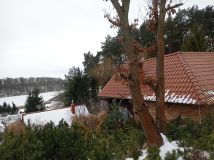 Działka rod Debrzno. Zdjęcie 1