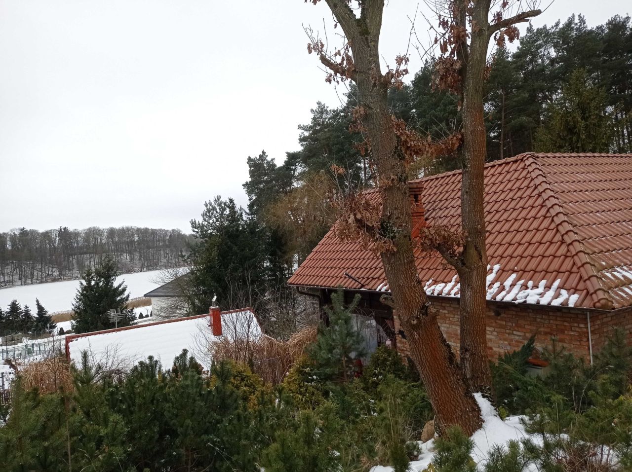 Działka rod Debrzno. Zdjęcie 2