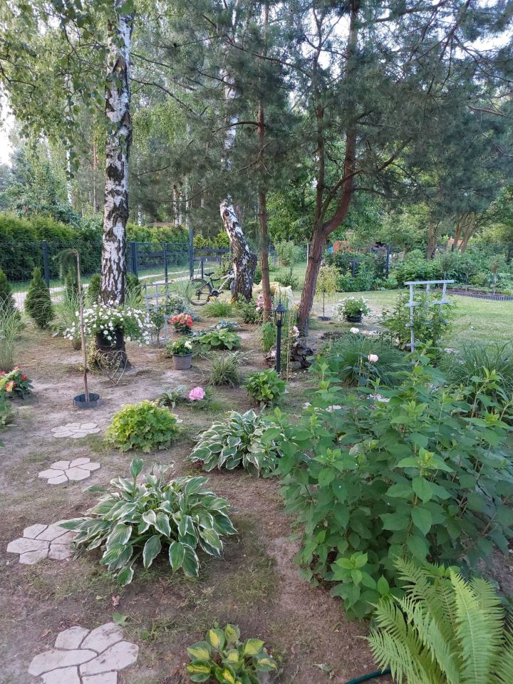 Działka rod Zdzieszowice. Zdjęcie 5