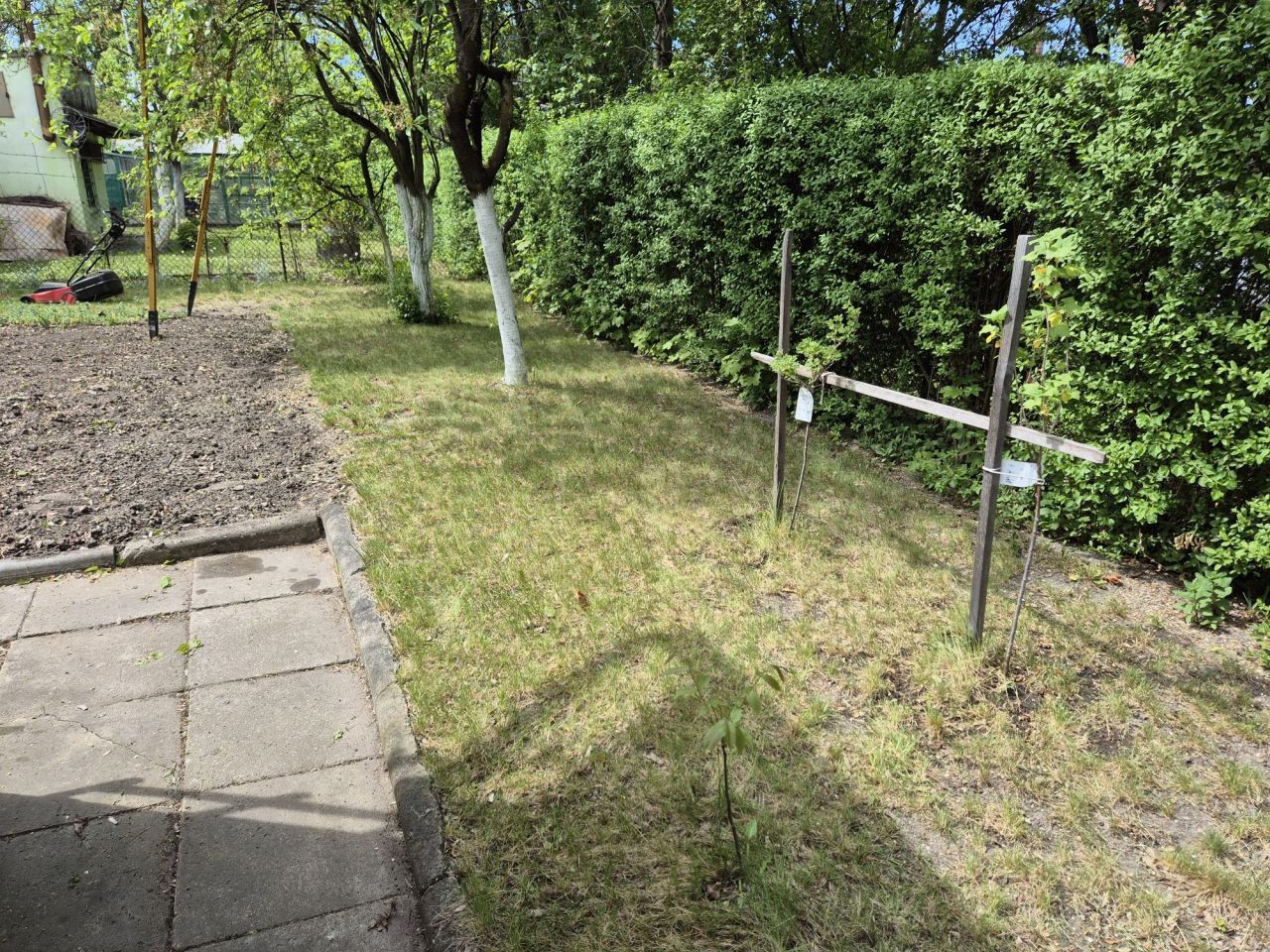 Działka rod Opole, ul. Macieja Rataja. Zdjęcie 7