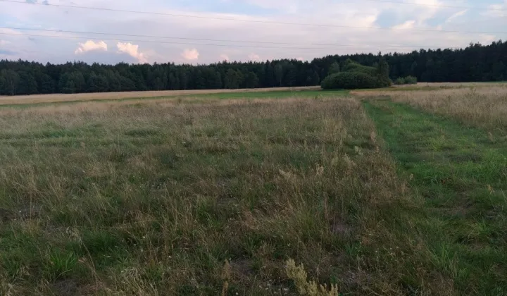 Działka budowlana Basinów