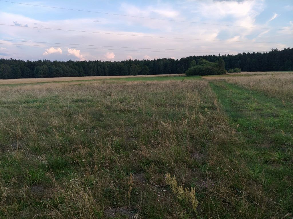 Działka budowlana Basinów. Zdjęcie 1