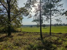 Działka leśna Boratyniec Lacki. Zdjęcie 2