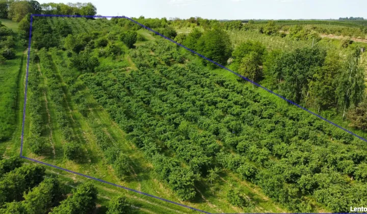 Działka rolno-budowlana Sandomierz Gołębice, ul. Sucharzowska