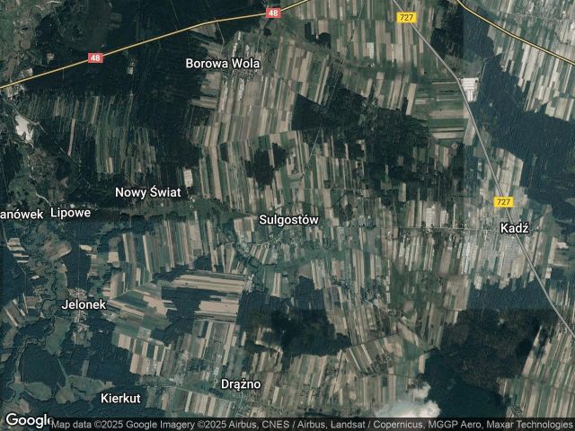 Działka rolna Sulgostów. Zdjęcie 1