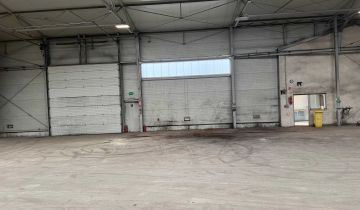 Hala/magazyn Opole, ul. Wschodnia