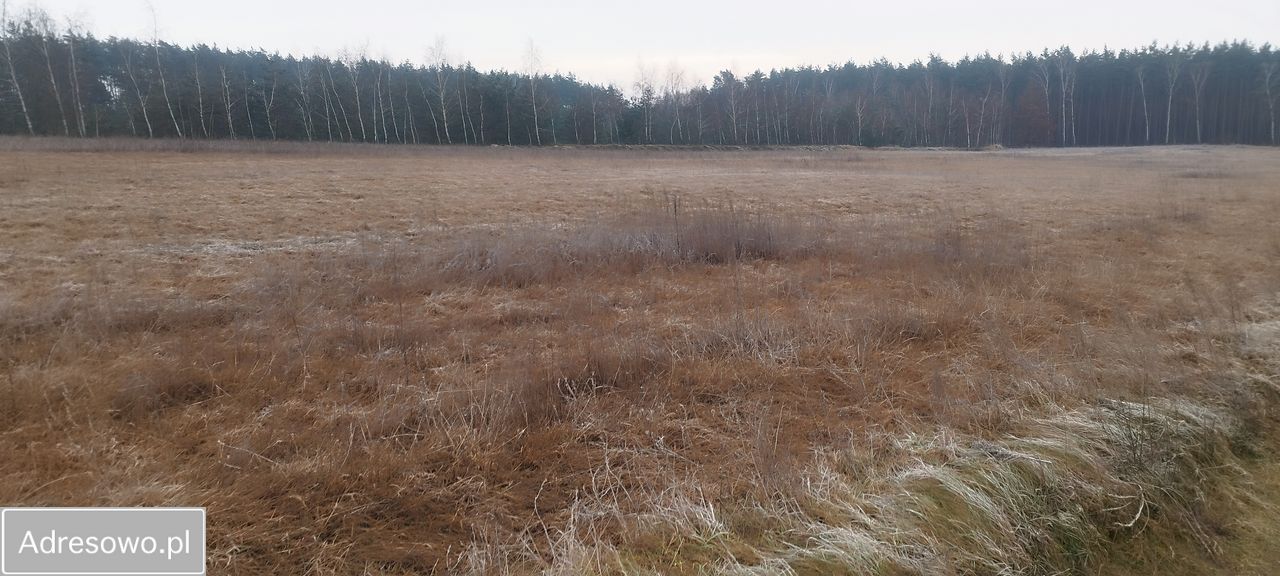 Działka budowlana Annowo. Zdjęcie 3