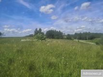 Działka rolna Piłaki Wielkie. Zdjęcie 3