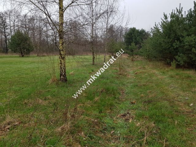 Działka budowlana Marynin. Zdjęcie 2