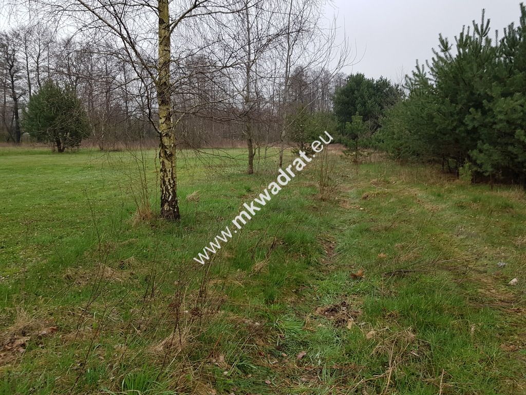 Działka budowlana Marynin. Zdjęcie 2