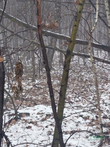 Działka inna Mysłowice Wesoła, ul. Marii Konopnickiej. Zdjęcie 2