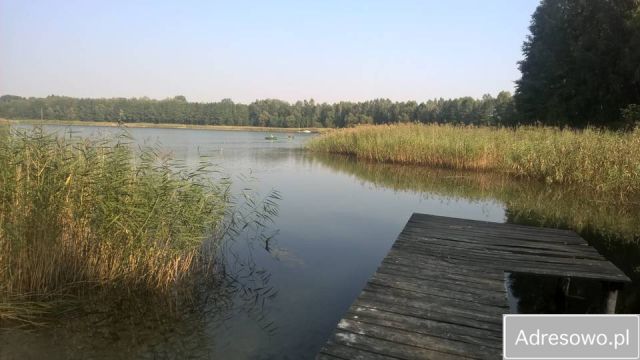 Działka rekreacyjna Zalesie. Zdjęcie 1