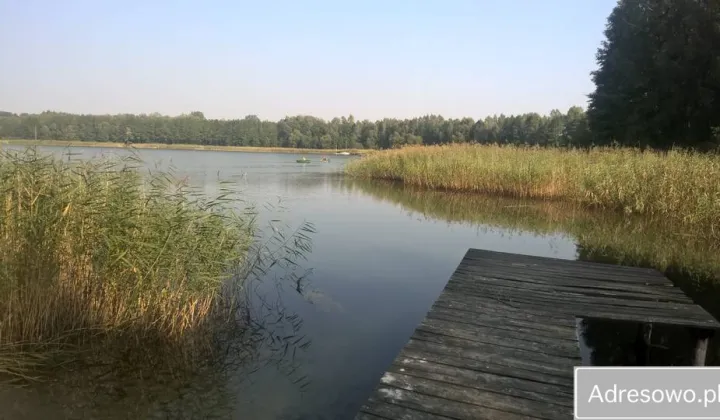 Działka rekreacyjna Zalesie