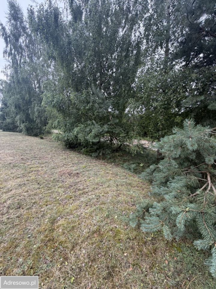 Działka budowlana Lipinki Szlacheckie, ul. Jana Pawła II. Zdjęcie 5