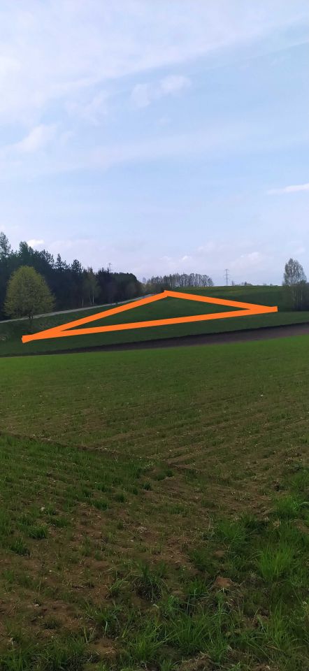 Działka Grauże Nowe. Zdjęcie 5