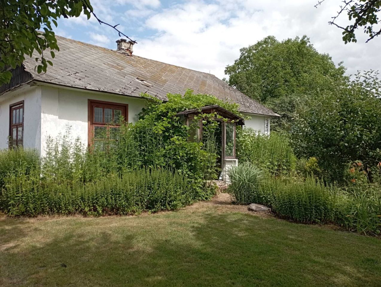 Działka siedliskowa Gruszka Mała Pierwsza