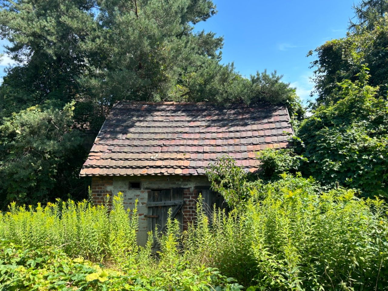 dom wolnostojący Gracze. Zdjęcie 7