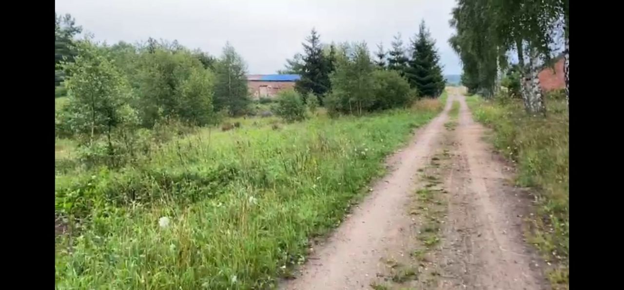 Działka rolna Unieszyno Unieszyniec. Zdjęcie 3