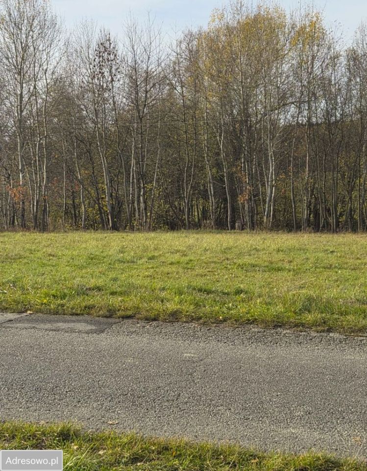 Działka budowlana Stary Wielisław. Zdjęcie 2