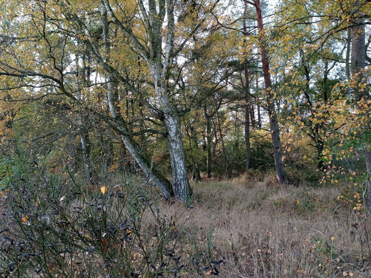 Działka budowlana Rościęcino, ul. Handlowa. Zdjęcie 9