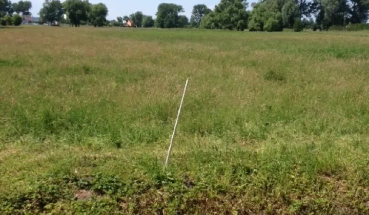 Działka rolna Lubczyna