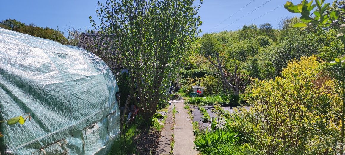 Działka rod Szczecin Płonia, ul. Senna. Zdjęcie 6