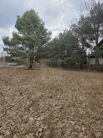 Działka budowlana Budy Zaklasztorne, ul. Mazowiecka. Zdjęcie 6